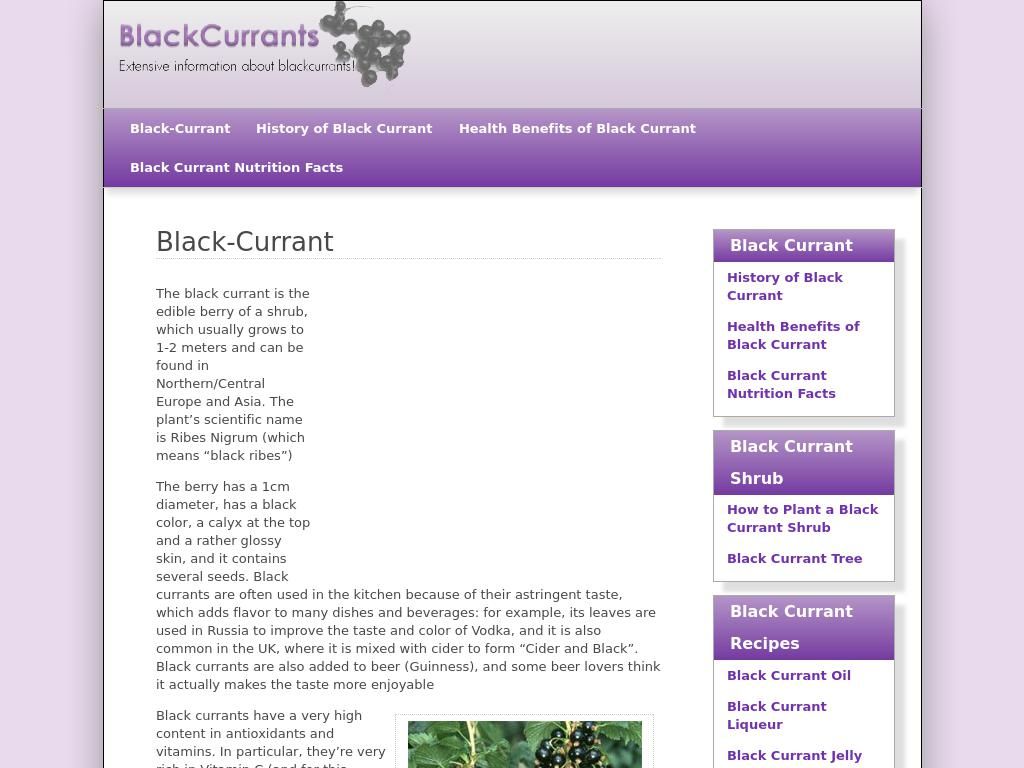 black-currant.com