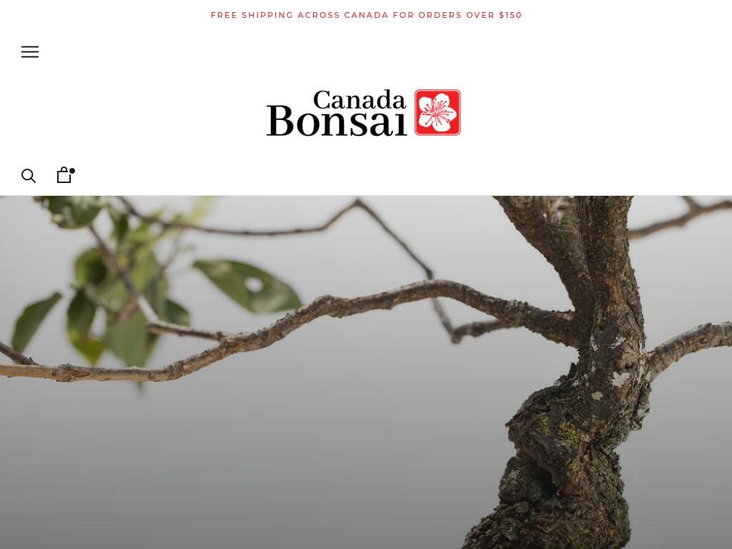 bonsaicanada.com