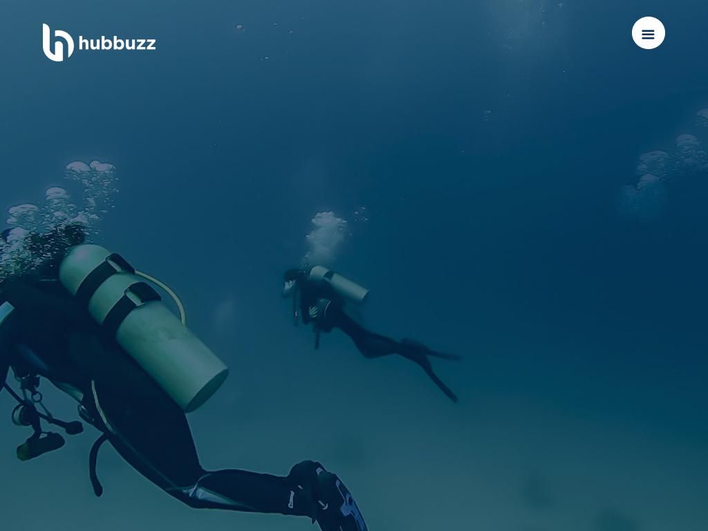 hubbuzz.com