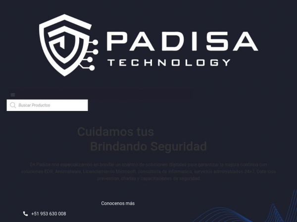 padisaperu.com