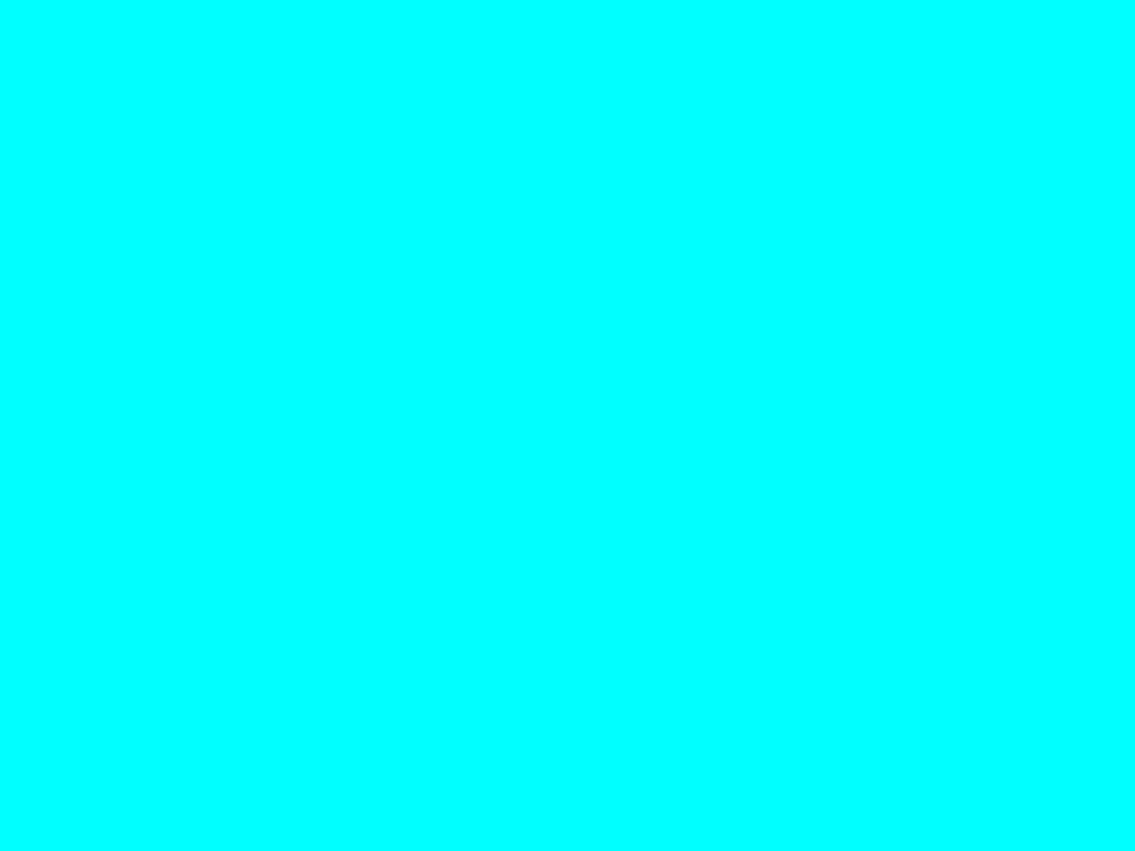 amishhome.net