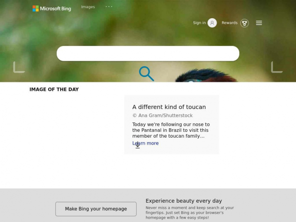 bing.com