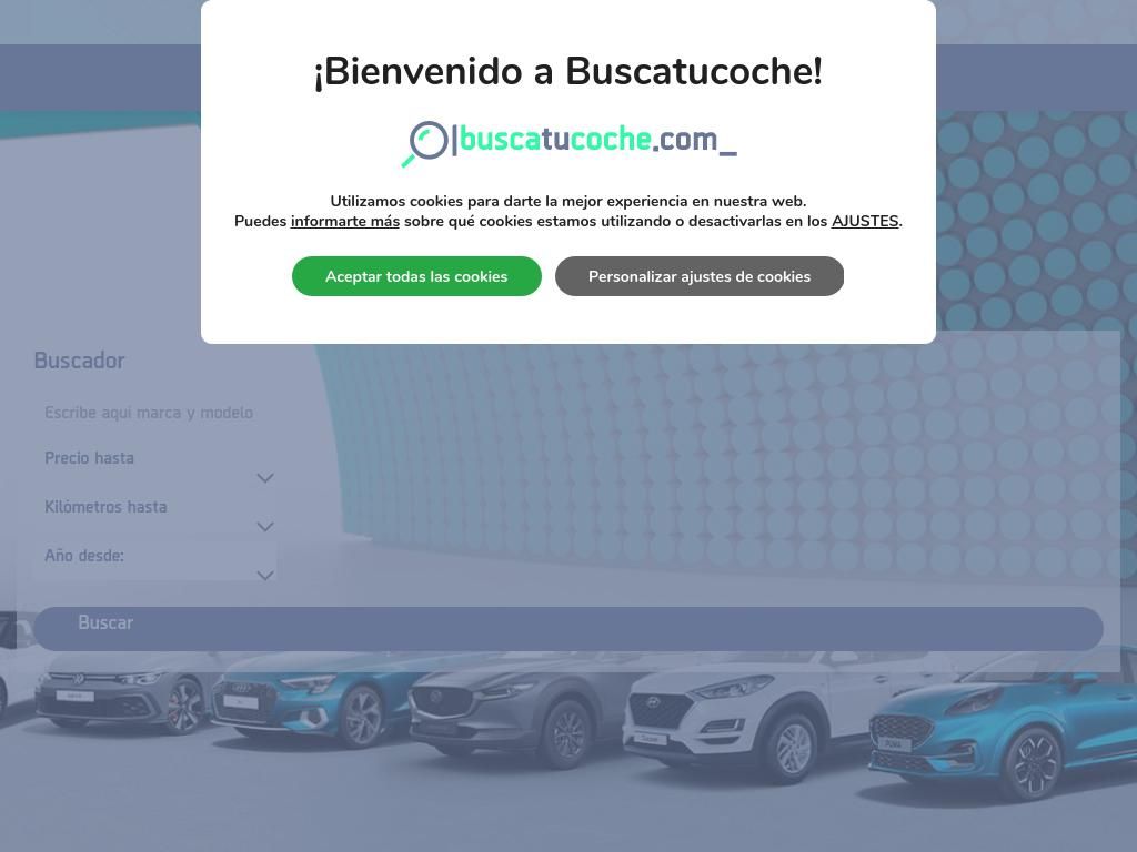 buscatucoche.com