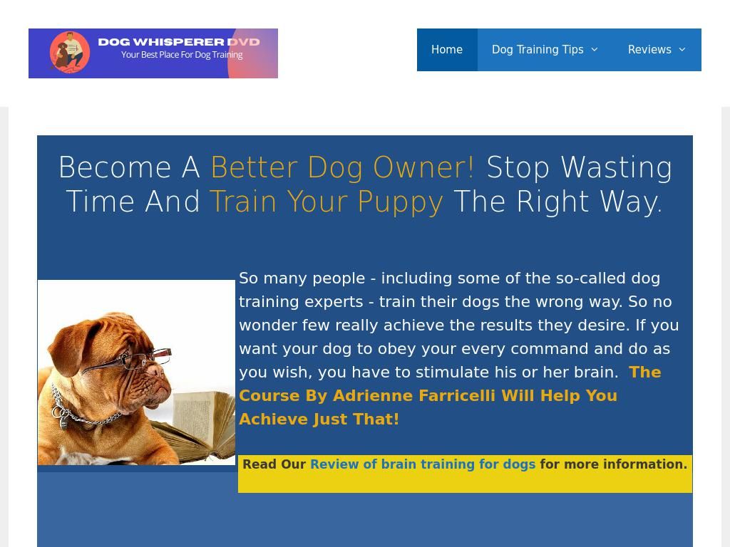 dogwhispererdvd.com