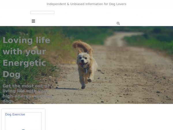 energeticdogs.com