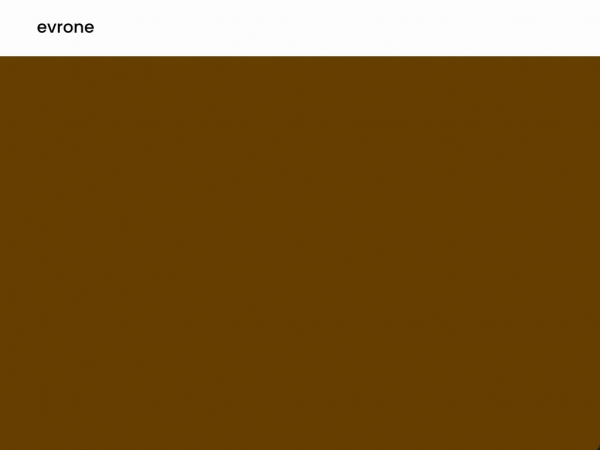 evrone.com