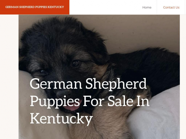 germanshepherdpuppieskentucky.com