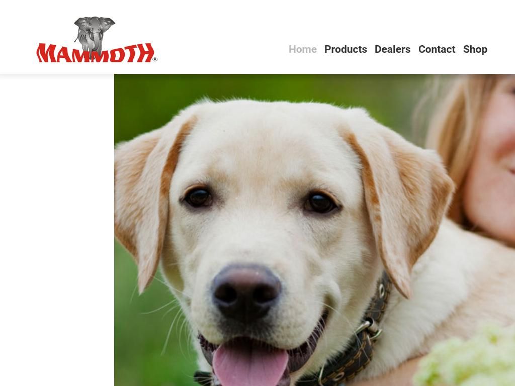 mammothdogbeds.com