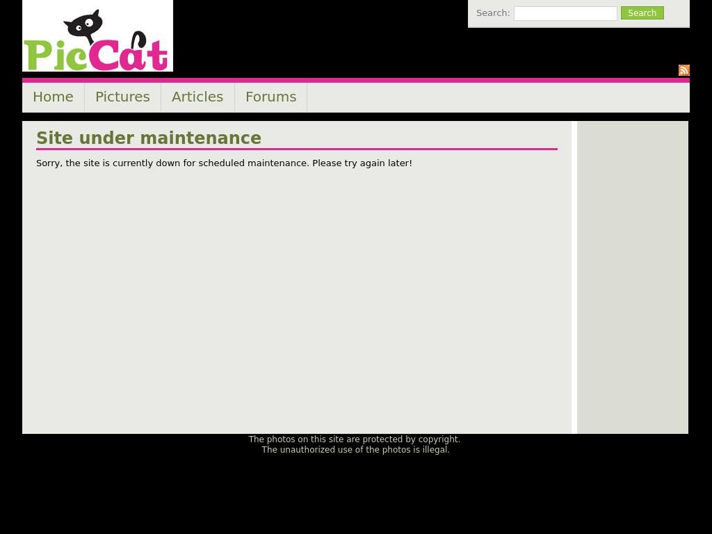 piccat.com