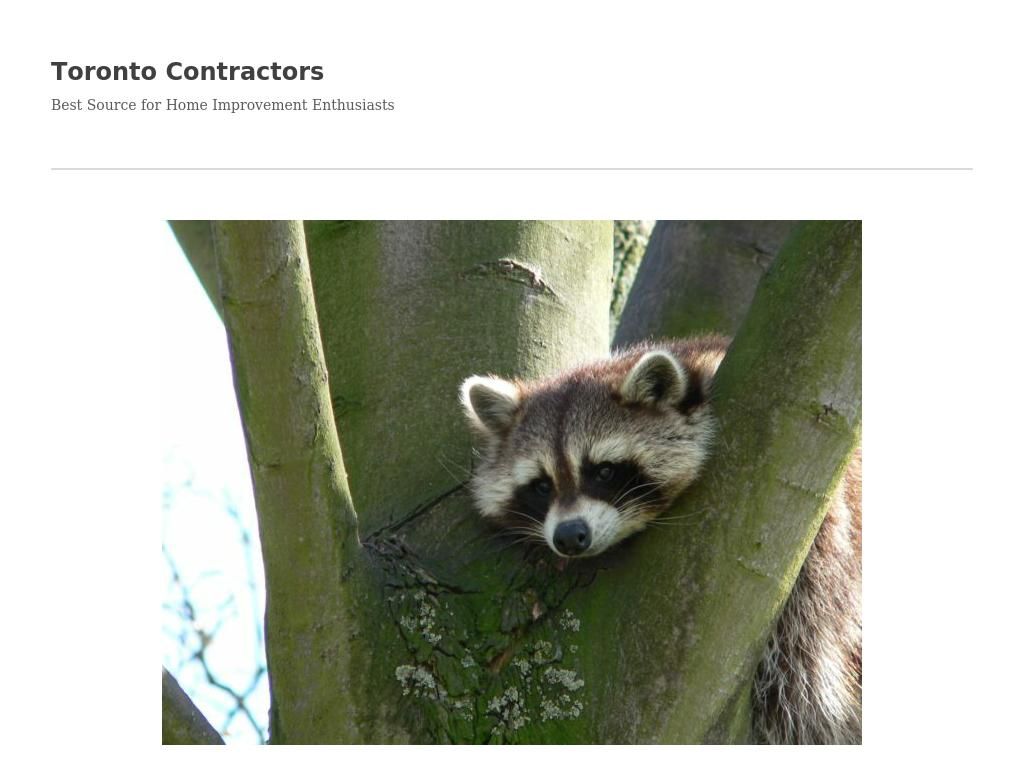 toronto-contractors.ca